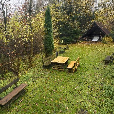 Truth Ruhe Oase, Naturblick, Smart Tv, Terrasse Brilon Buitenkant foto